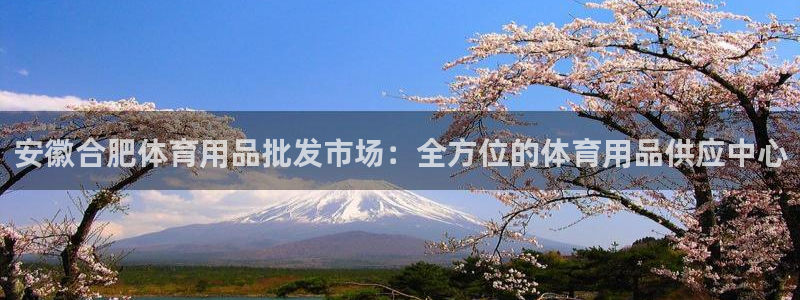 欧陆娱乐是正规平台吗安全吗：安徽合肥体育用品批发市场