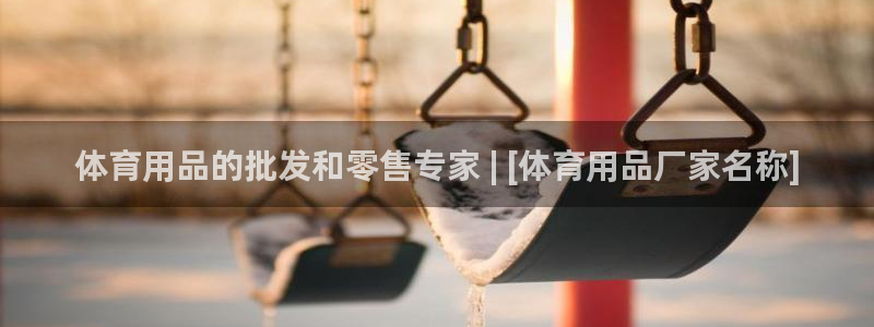 欧陆娱乐系统教程：体育用品的批发和零售专家 | [体