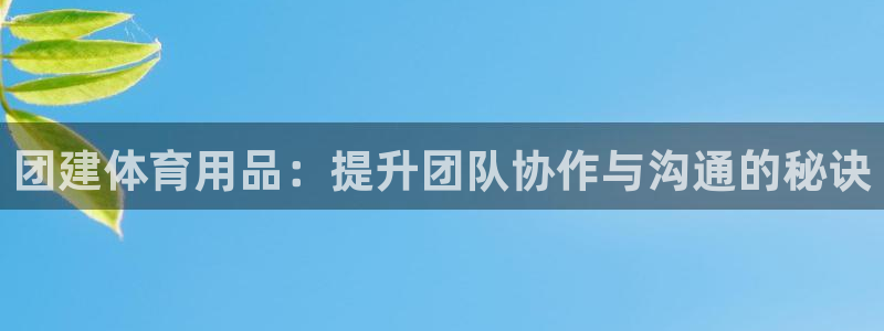 欧陆论坛：团建体育用品：提升团队协作与沟通的秘诀