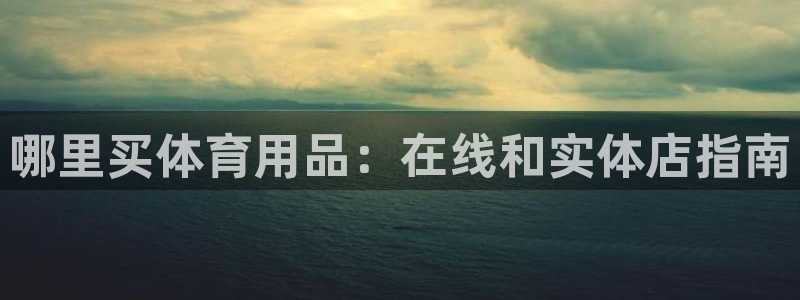 欧陆娱乐平台登陆地址在哪：哪里买体育用品：在线和实体