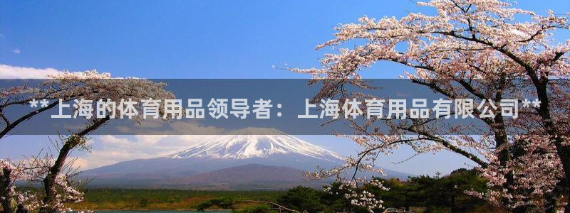 欧陆娱乐的故事有哪些:**上海的体育用品领导者:上海体育用品