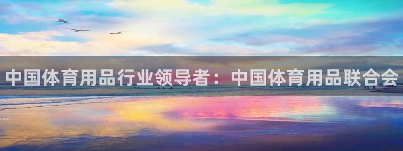 欧陆娱乐是正规平台吗安全吗知乎文章:中国体育用品行业领导者: