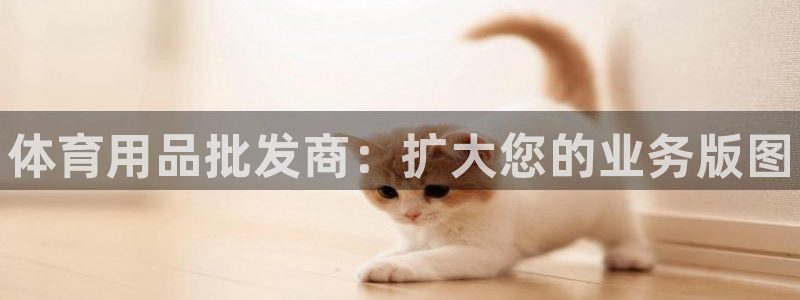 欧陆娱乐测速软件下载:体育用品批发商:扩大您的业务版图