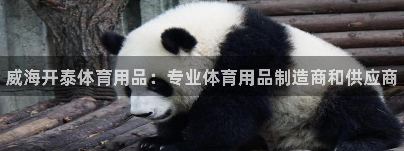 欧陆娱乐能不能玩手游:威海开泰体育用品:专业体育用品制造商和