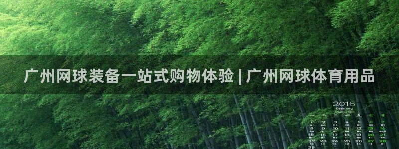 欧陆娱乐打什么方案赚钱:广州网球装备一站式购物体验 | 广州