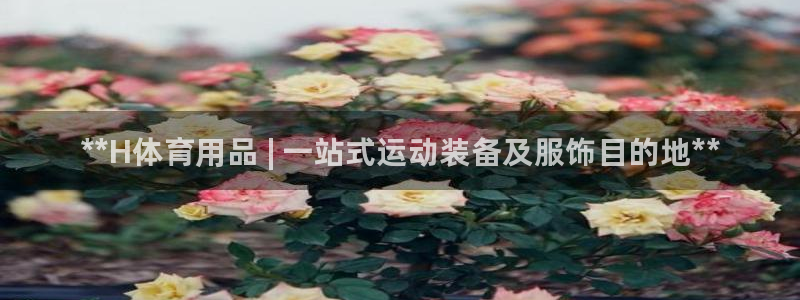 欧陆娱乐注册代理:**H体育用品 | 一站式运动装备及服饰目